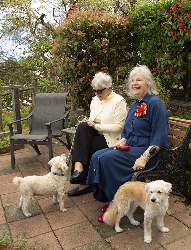 Women with dogs