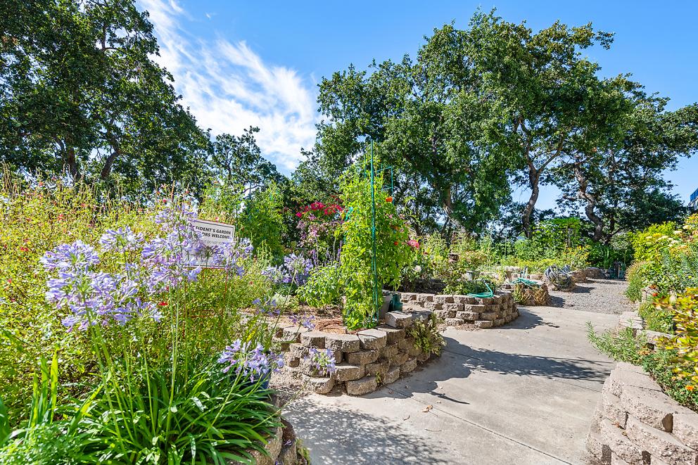 The Grounds #5