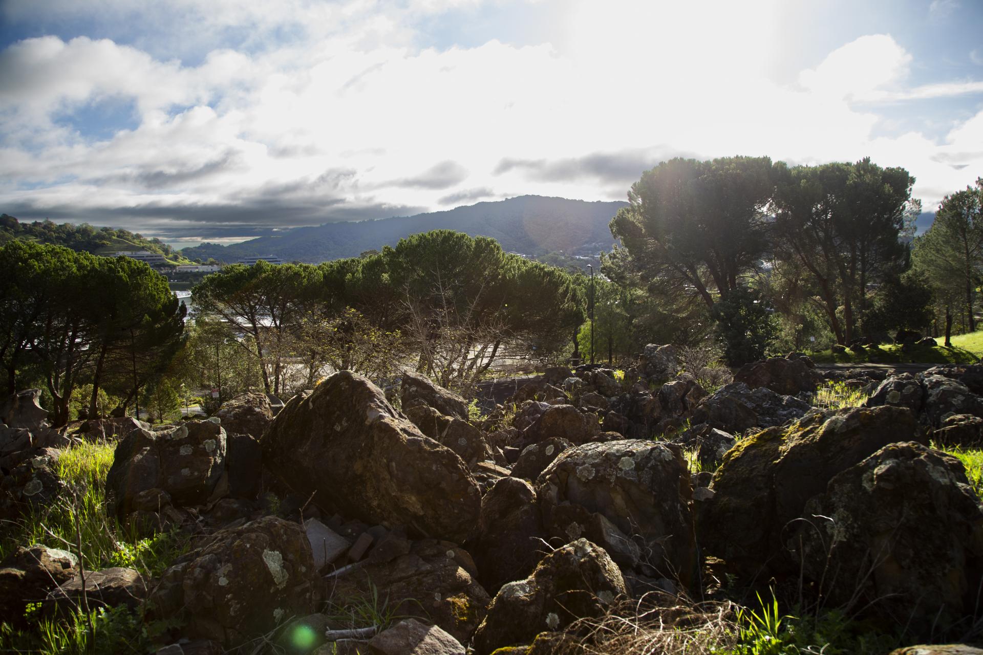 View from Villa Marin